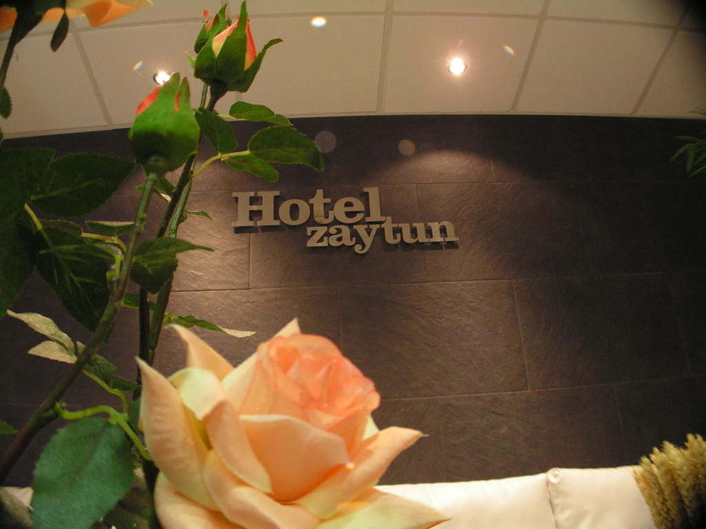 Hotel Zaytun Mequinenza Esterno foto